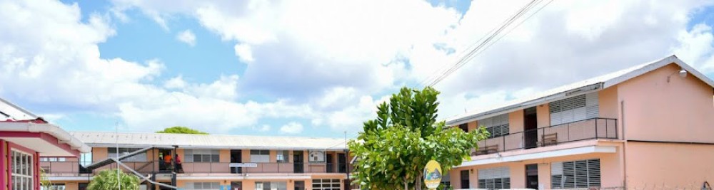 Barbados Guide Deacons Primary School