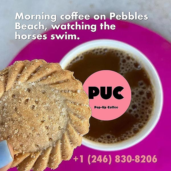 PUC - Pop Up Coffee